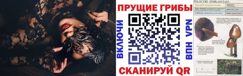 Купить где  Николаевск-на-Амуре  Галлюциногенные грибы GOLDEN TEACHER 